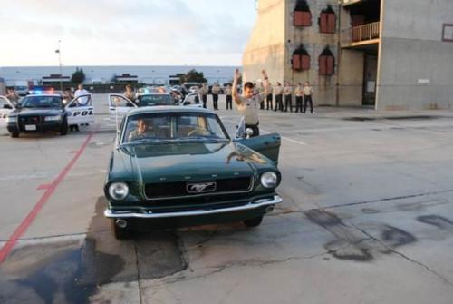 100000172837722 1278638