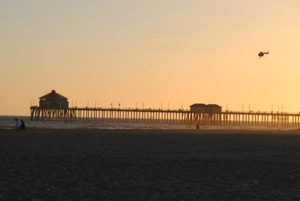 100000172837722 1135038