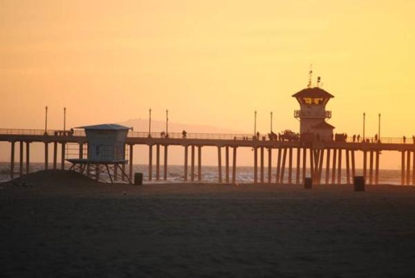 100000172837722 1135067